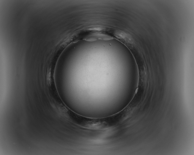 X0000086980267200704161453