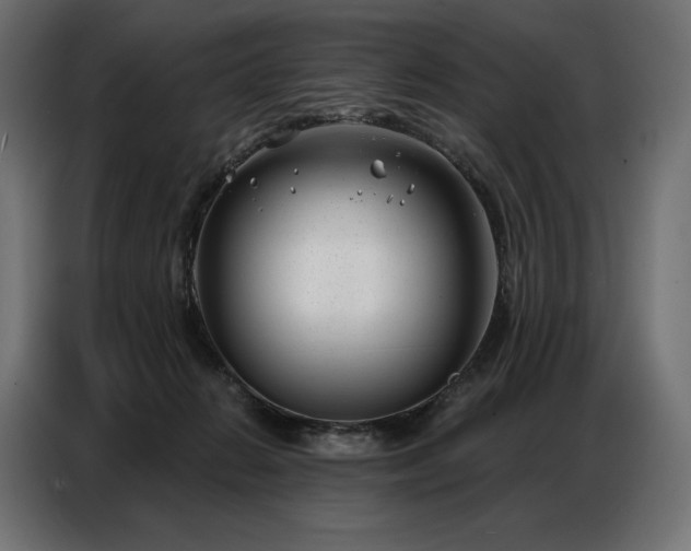 X0000086980270200704161453