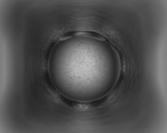 X0000086980272200704161453