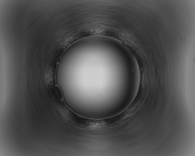 X0000086980274200704161453