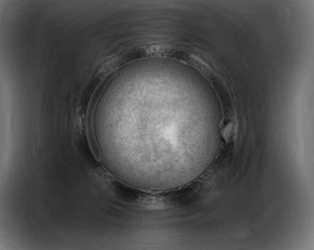 X0000086980276200704161453