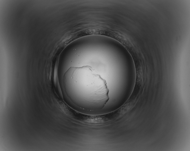 X0000086980278200704161453