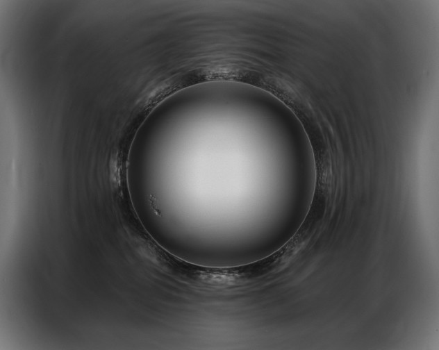 X0000086980282200704161453
