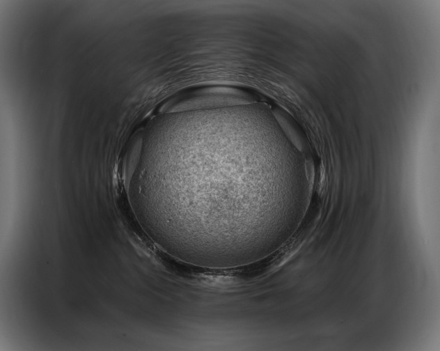 X0000086980284200704161453