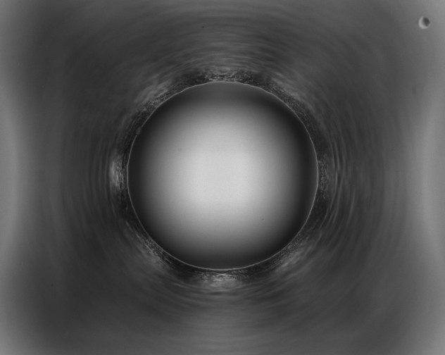 X0000086980287200704161454