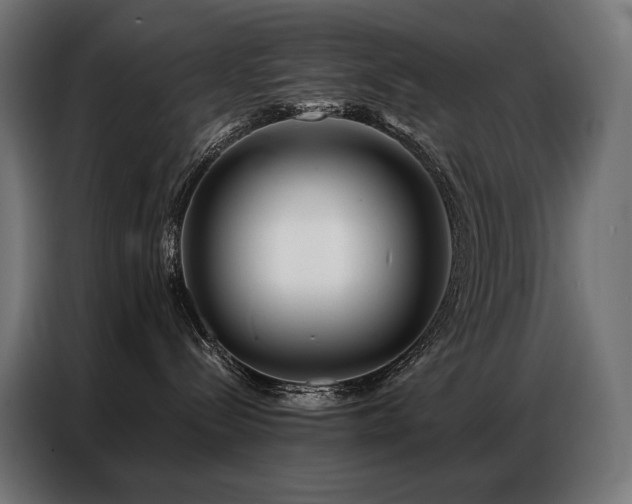 X0000086980288200704161454