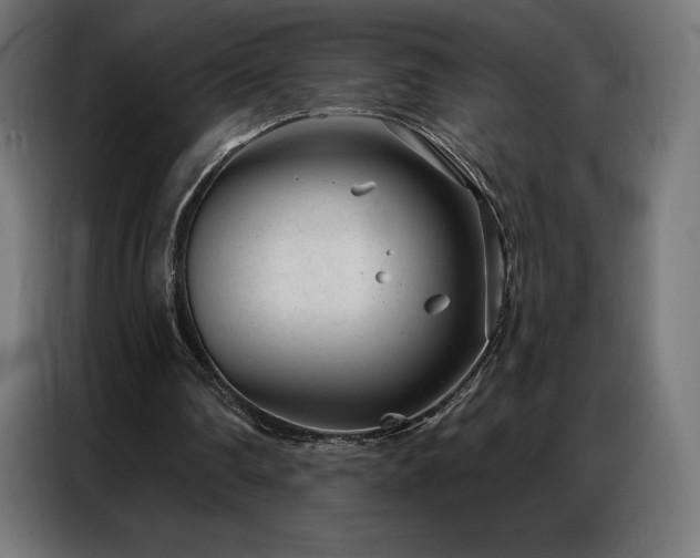 X0000086980290200704161453