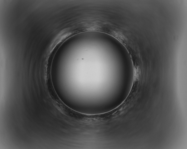 X0000086980291200704161453