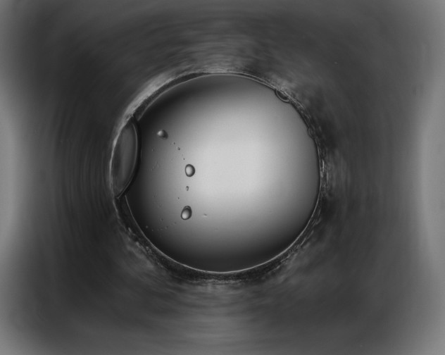 X0000086980292200704161453