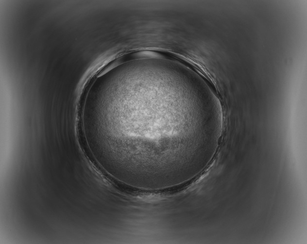 X0000086980293200704161453