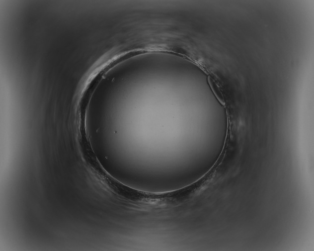 X0000086980295200704161453