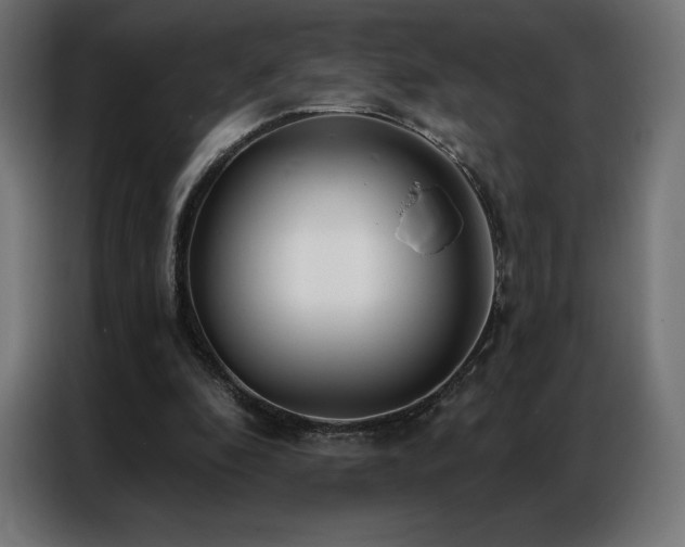 X0000086980296200704161453