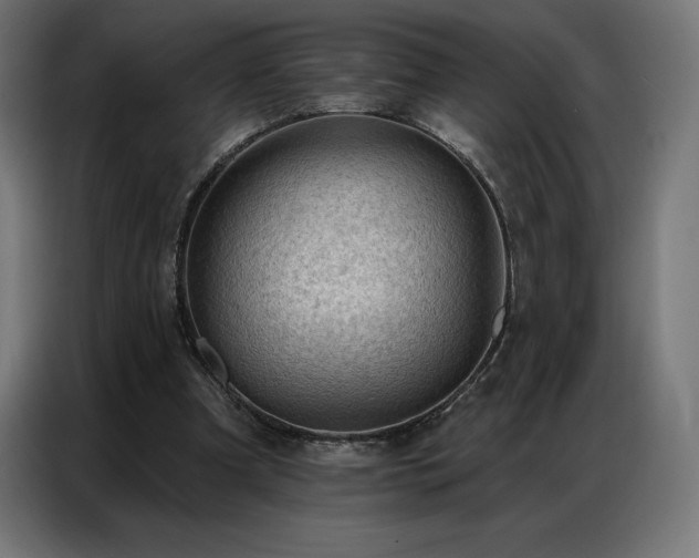 X0000086980297200704161453