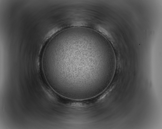 X0000086980298200704161453