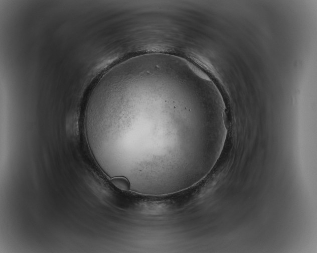 X0000086980299200704161453