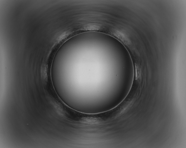 X0000086980300200704161453