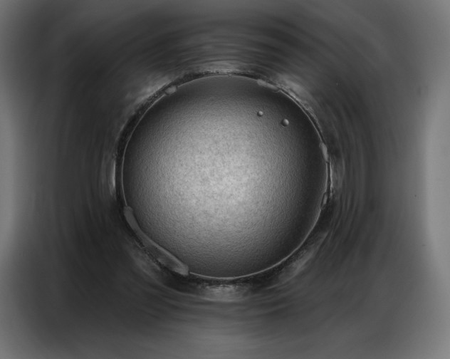 X0000086980301200704161453