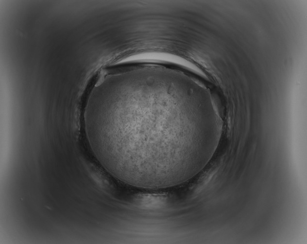 X0000086980303200704161453