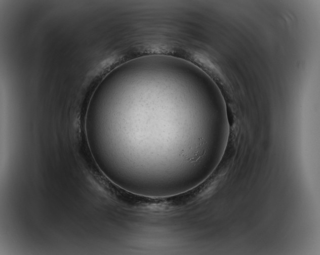 X0000086980306200704161453