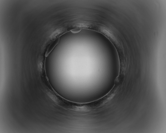 X0000086980309200704161453