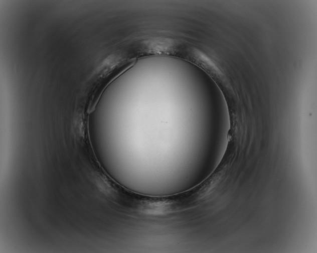 X0000086980313200704161453
