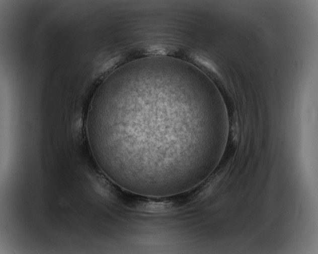 X0000086980314200704161453