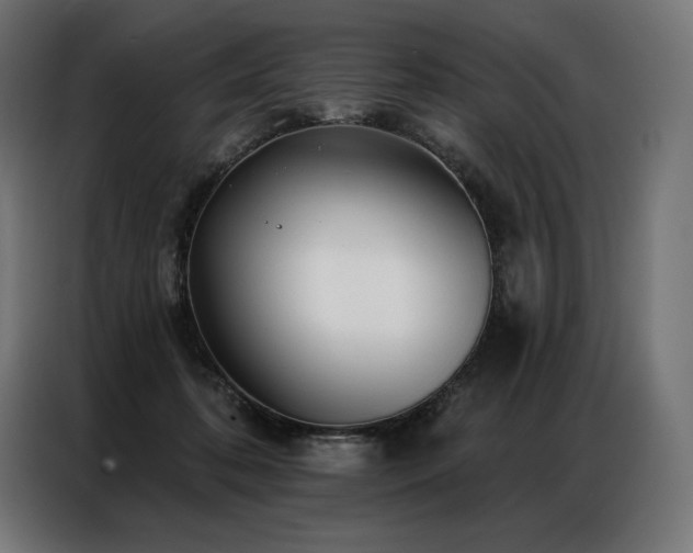 X0000086980316200704161453