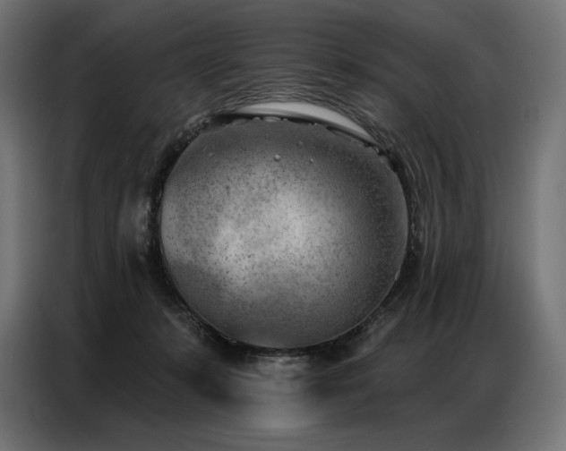 X0000086980319200704161453