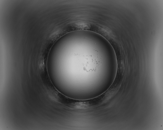 X0000086980320200704161453