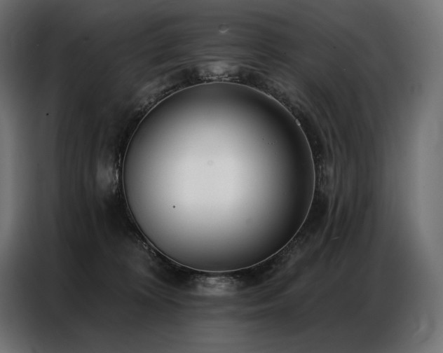 X0000086980324200704161453