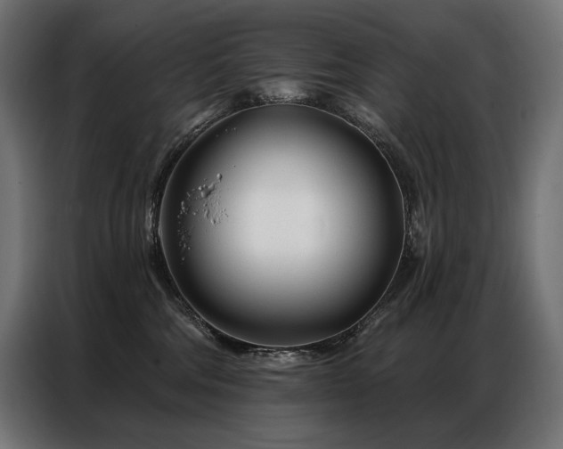 X0000086980330200704161452