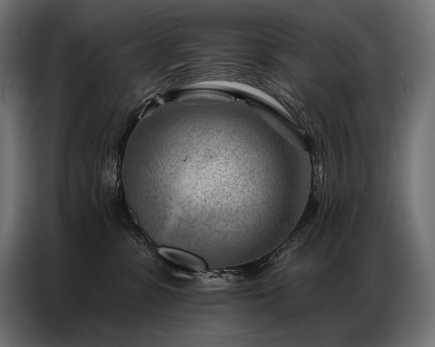 X0000086980331200704161452