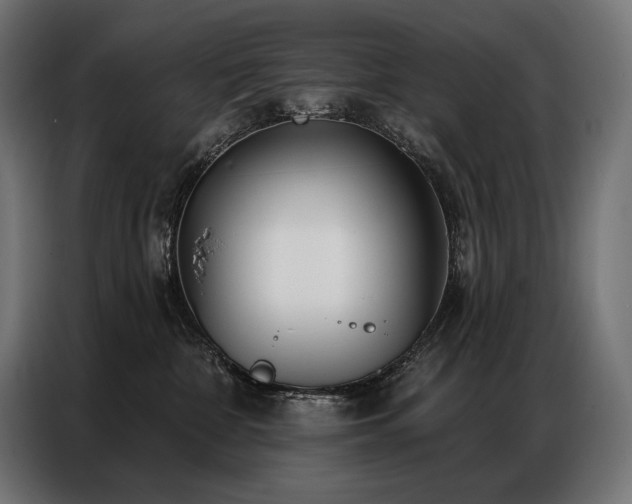 X0000086980332200704161452
