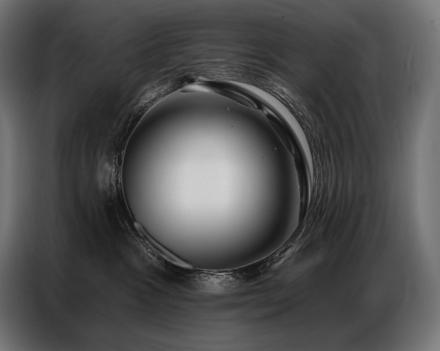 X0000086980333200704161452