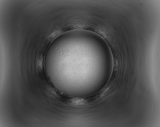 X0000086980334200704161452