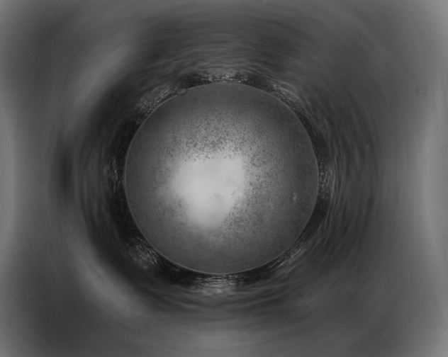 X0000086980335200704161452