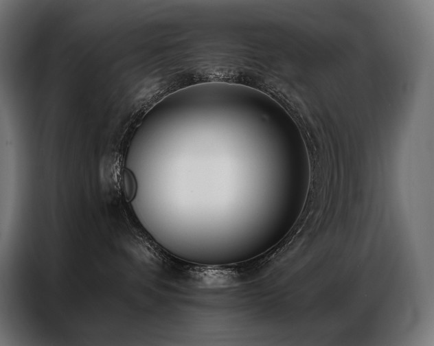 X0000086980336200704161452