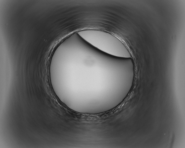 X0000086980337200704161452