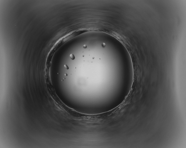 X0000086980338200704161452