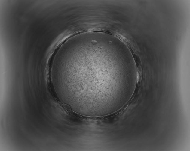 X0000086980339200704161452