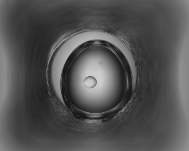 X0000086980340200704161452