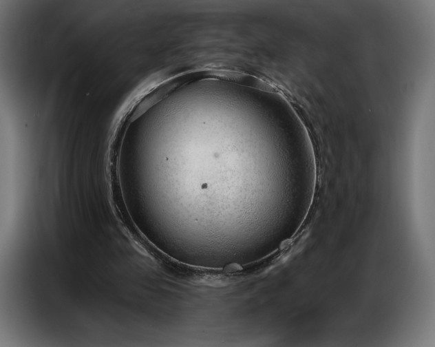 X0000086980341200704161452