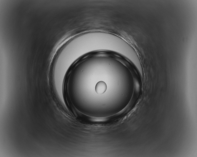 X0000086980344200704161452