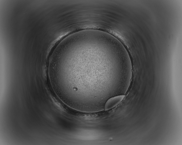 X0000086980345200704161452