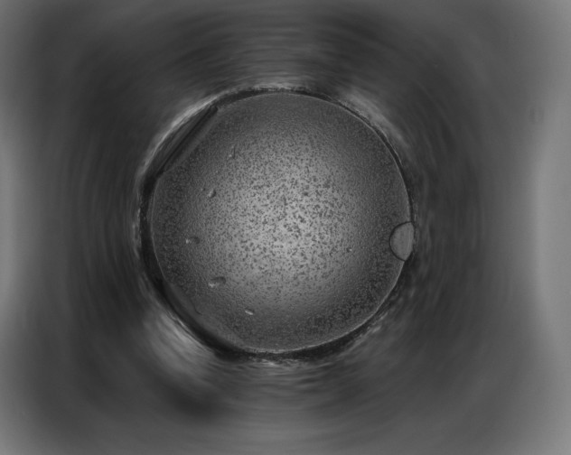 X0000086980346200704161452