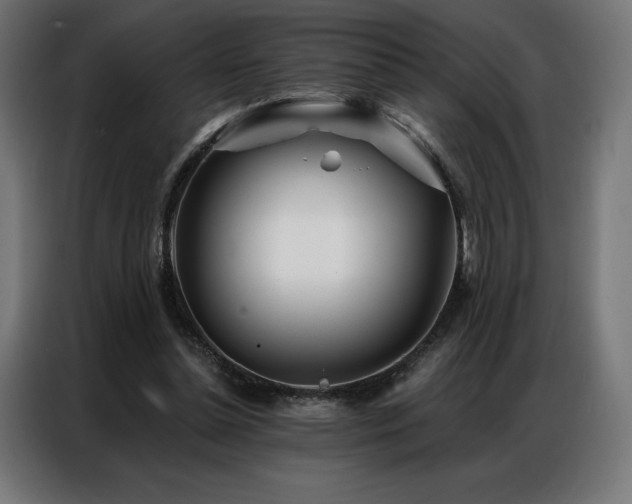 X0000086980348200704161452