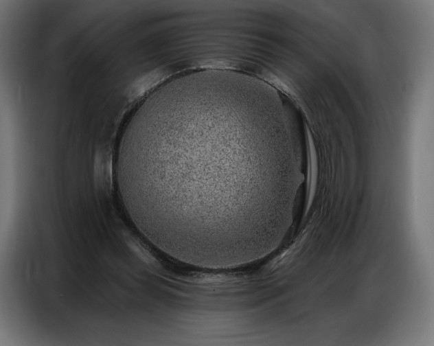 X0000086980349200704161452