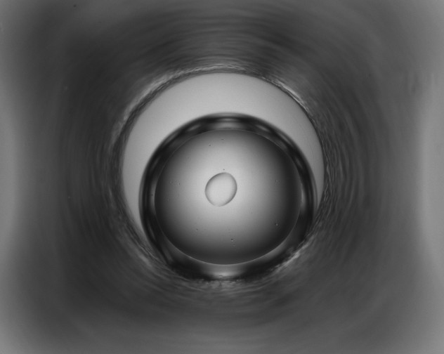 X0000086980350200704161452