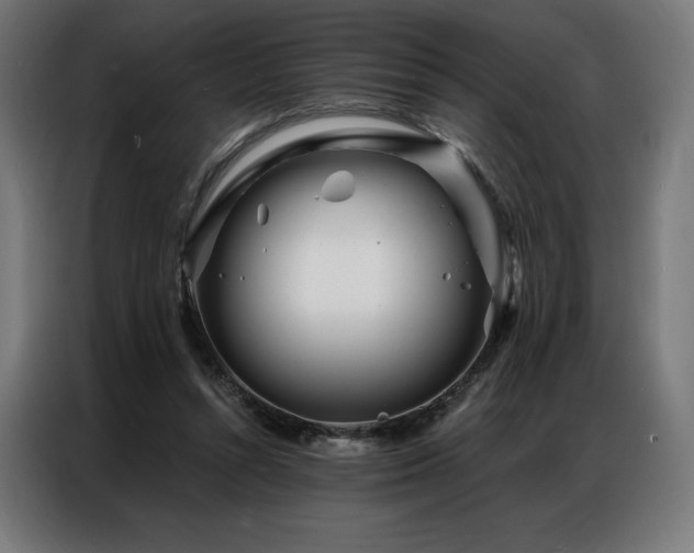 X0000086980352200704161452