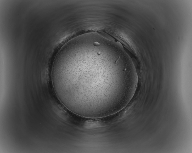 X0000086980354200704161452